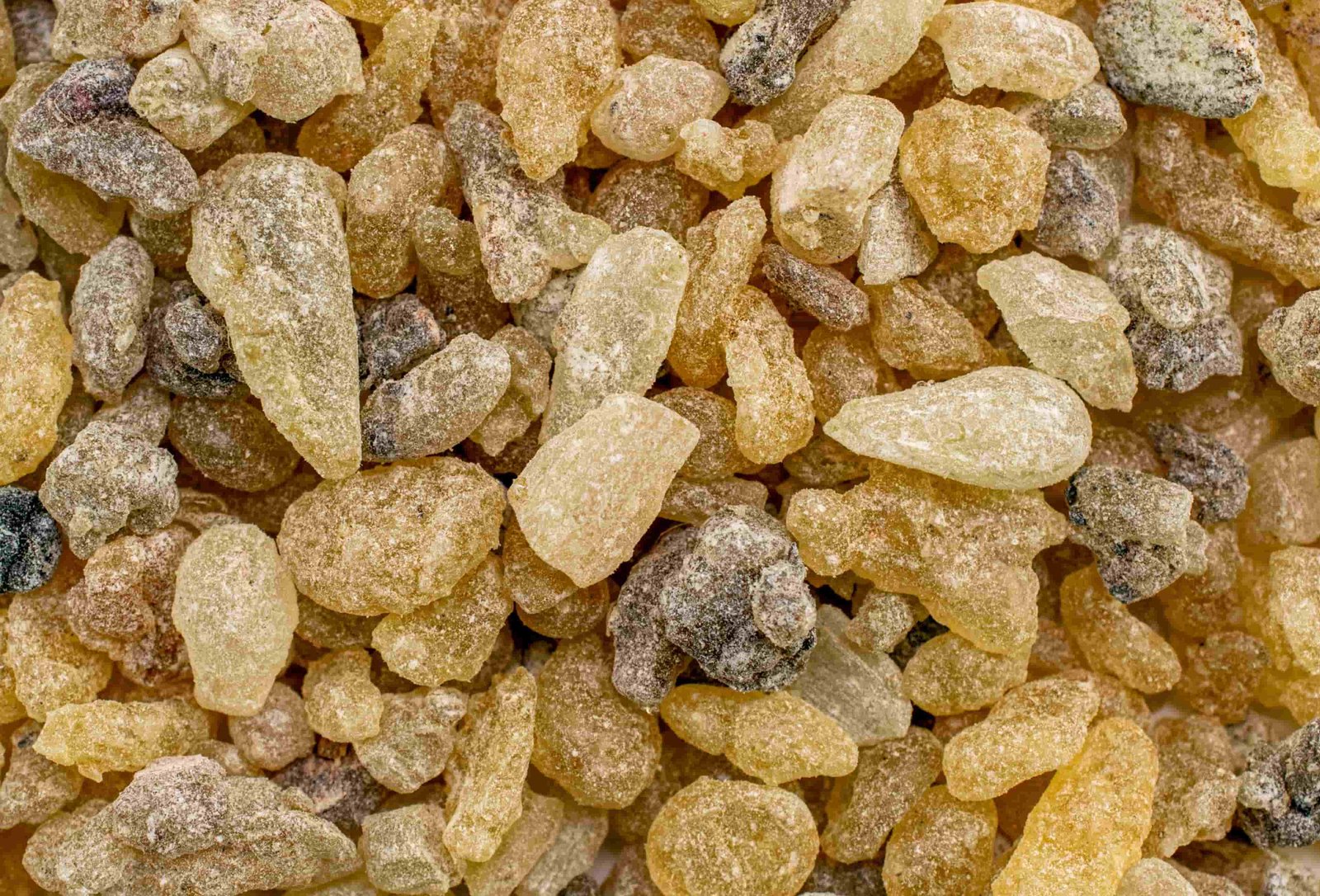 Boswellia extract